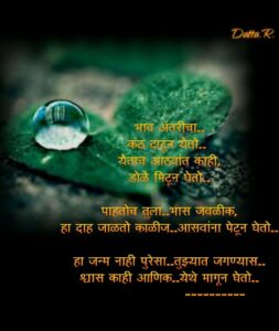 भास मराठी कविता | Marathi kavita - Bhas